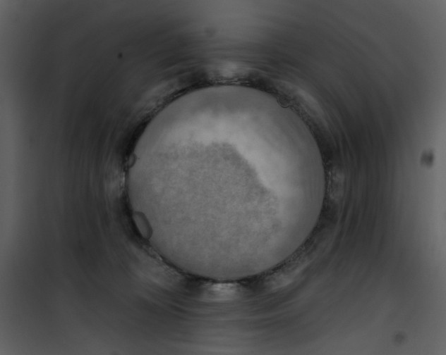 X0000100780324200807171449