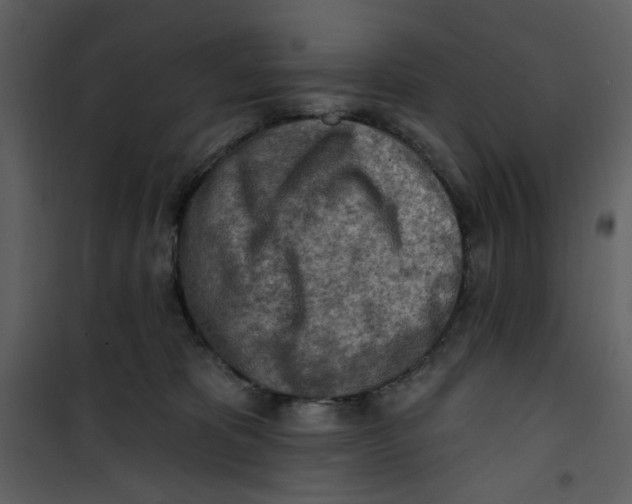 X0000100780325200807171449