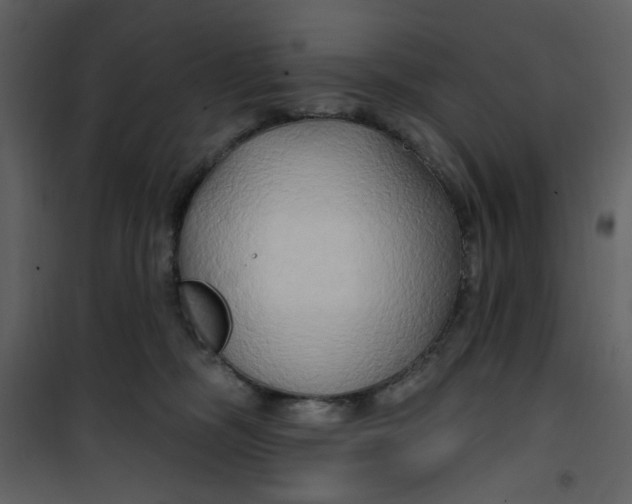 X0000100780326200807171449
