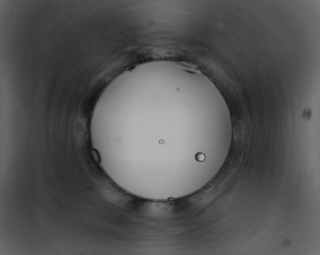 X0000100780327200807171449