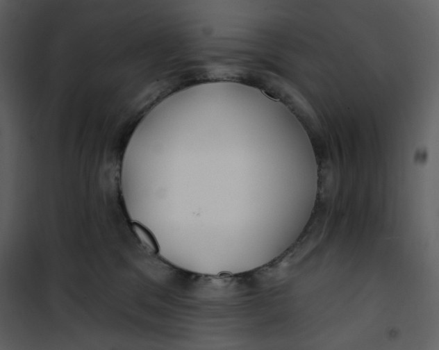 X0000100780329200807171449