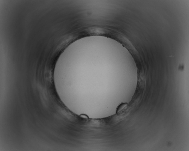 X0000100780330200807171449