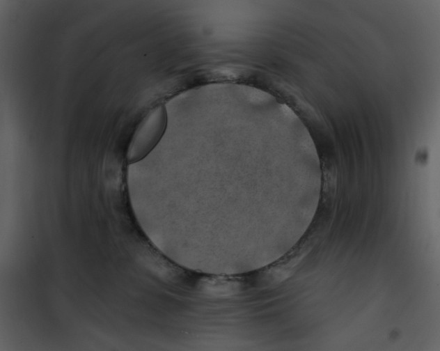X0000100780331200807171449