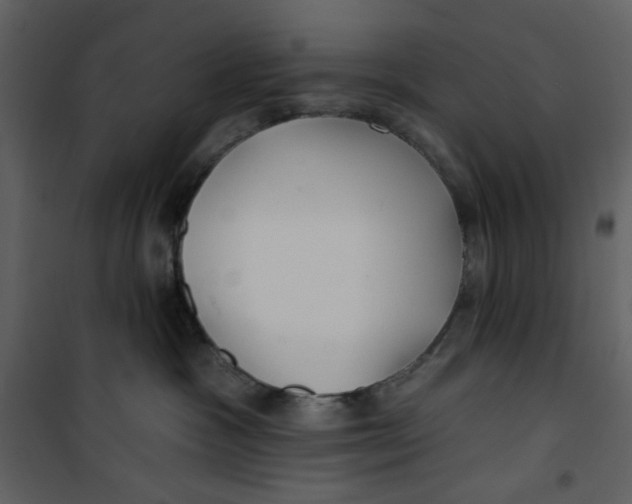 X0000100780333200807171449
