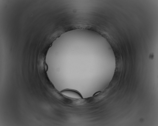 X0000100780334200807171449