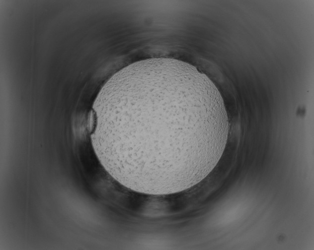 X0000100780335200807171449
