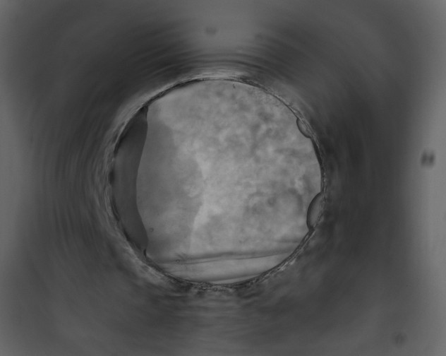 X0000100780337200807171448