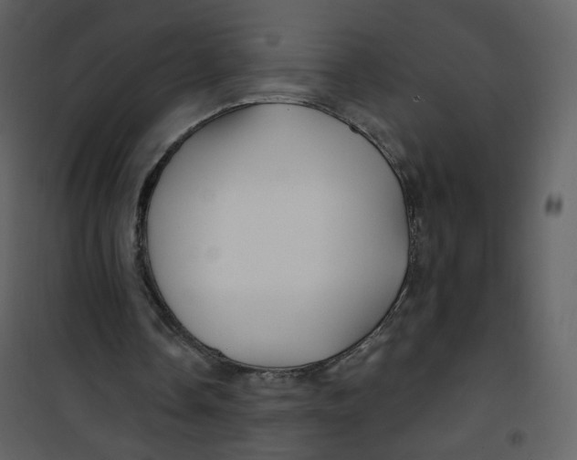 X0000100780338200807171448