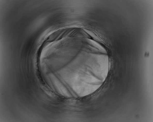X0000100780339200807171448