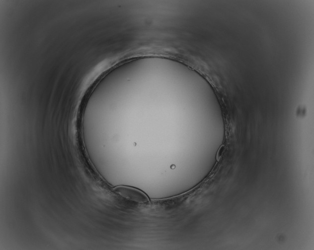 X0000100780340200807171448