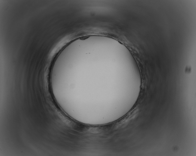 X0000100780341200807171448