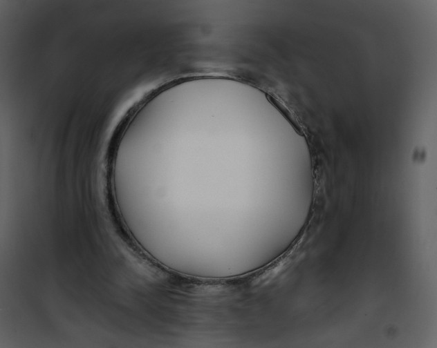 X0000100780342200807171448