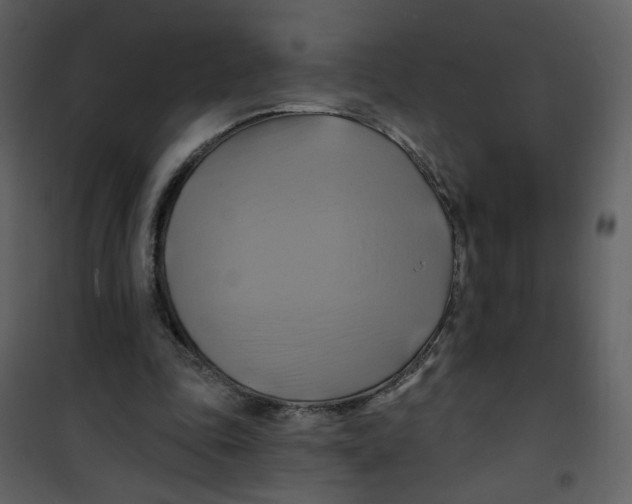 X0000100780343200807171448