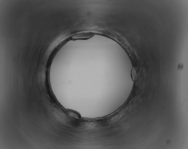 X0000100780344200807171448