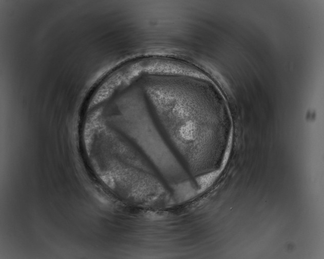 X0000100780346200807171448