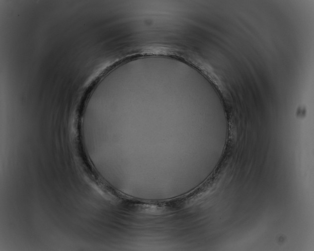 X0000100780347200807171448