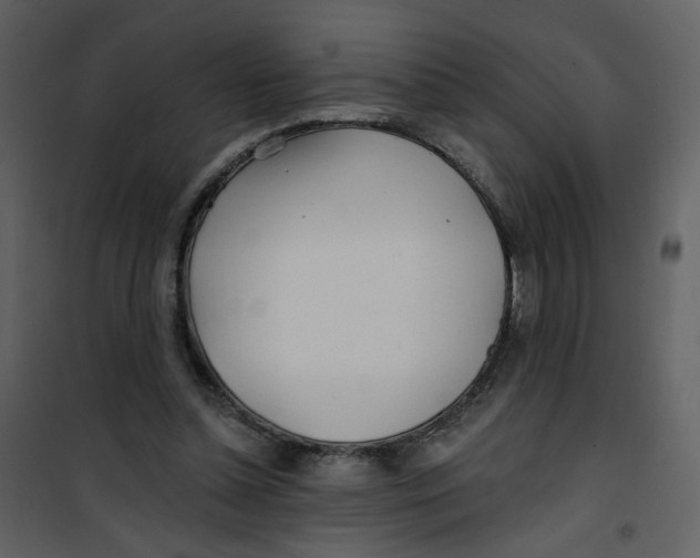 X0000100780348200807171448