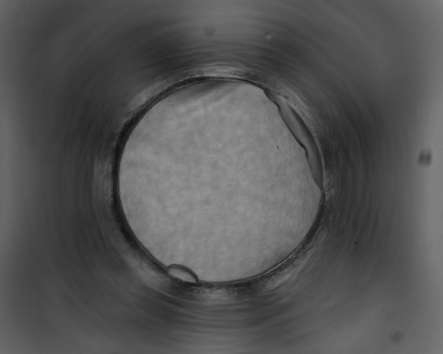 X0000100780349200807171448