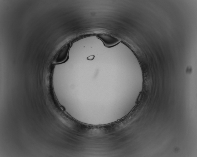 X0000100780350200807171448