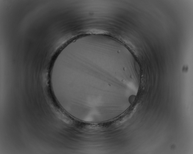 X0000100780351200807171448
