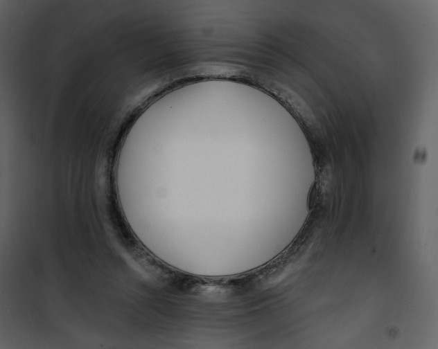 X0000100780352200807171448