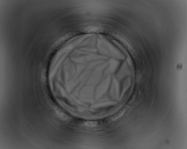 X0000100780353200807171448