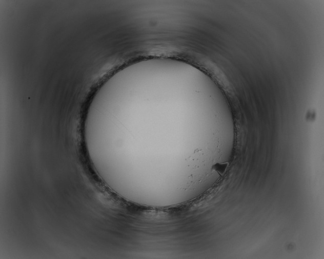 X0000100780354200807171448