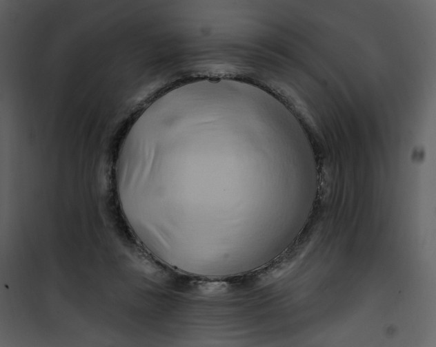 X0000100780355200807171448
