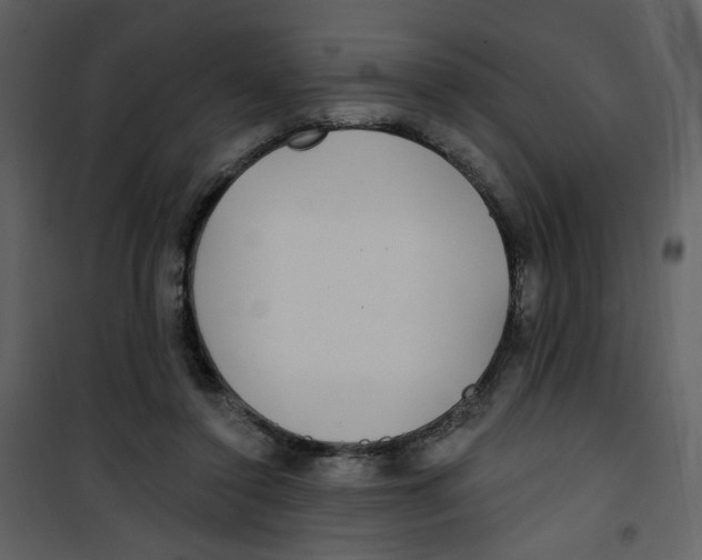X0000100780356200807171448