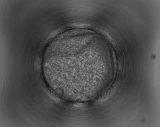 X0000100780357200807171448