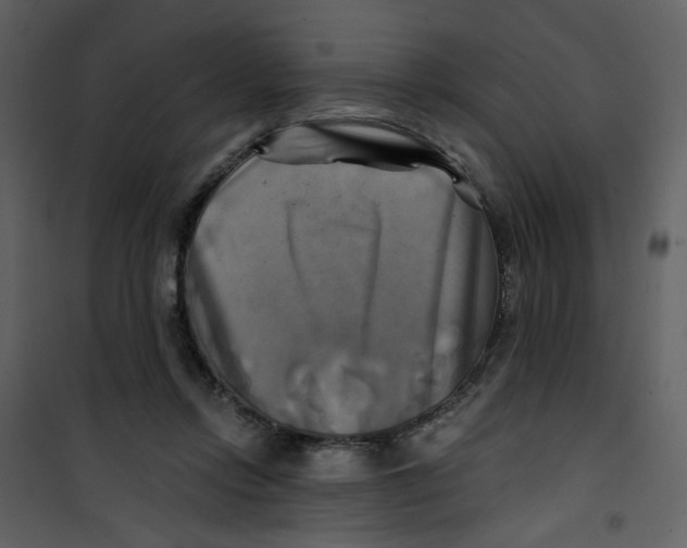 X0000100780358200807171448