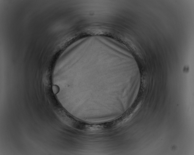 X0000100780359200807171448