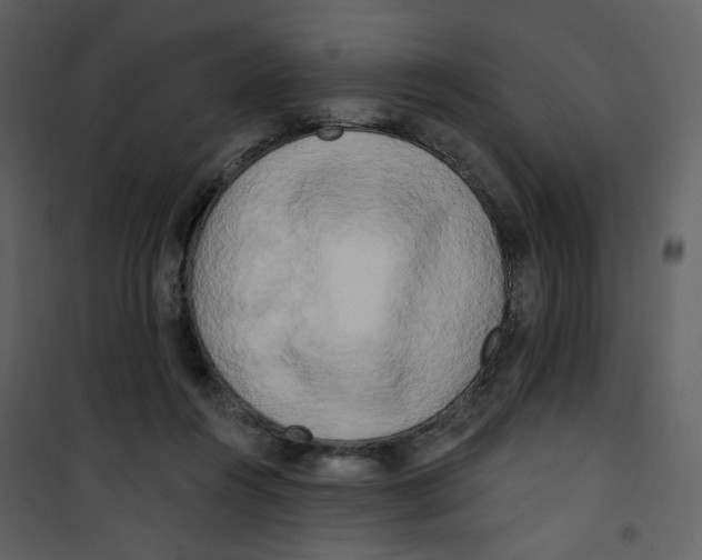 X0000100780360200807171448