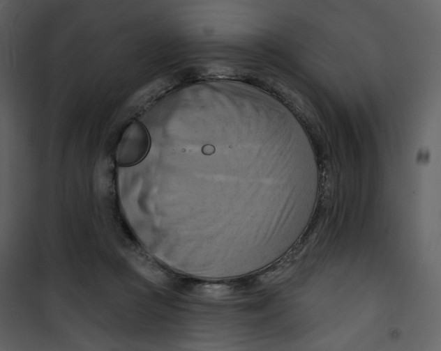 X0000100780361200807171448