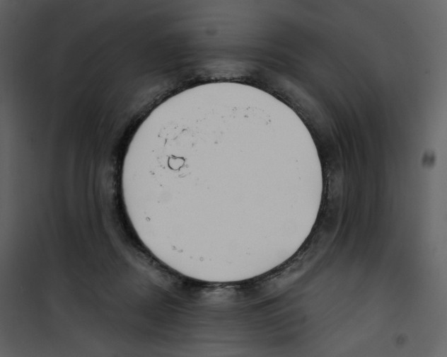X0000100780362200807171448