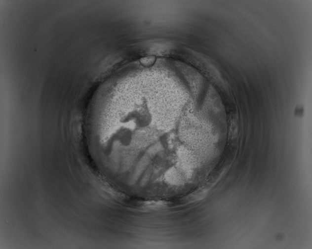 X0000100780363200807171448