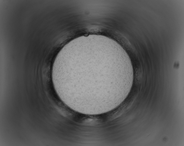 X0000100780364200807171448
