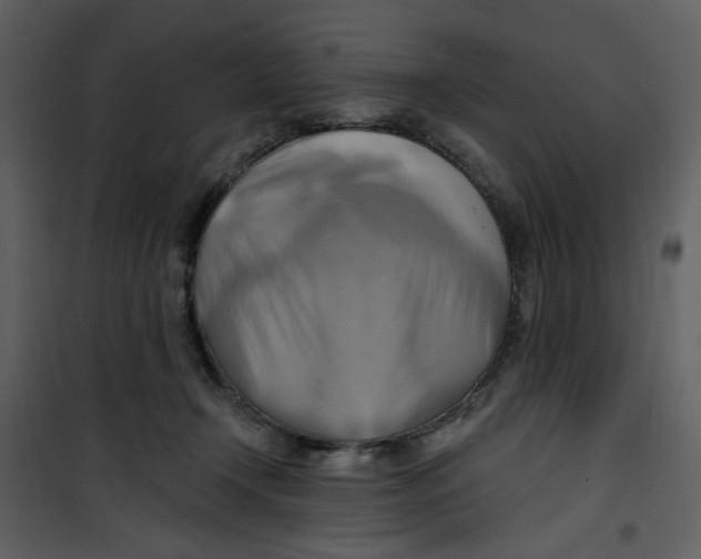 X0000100780366200807171448