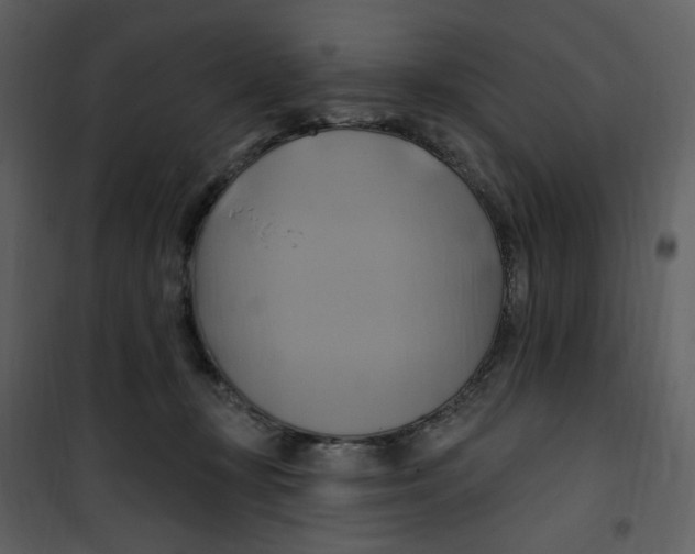 X0000100780367200807171448
