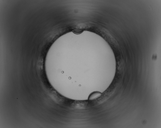X0000100780368200807171448