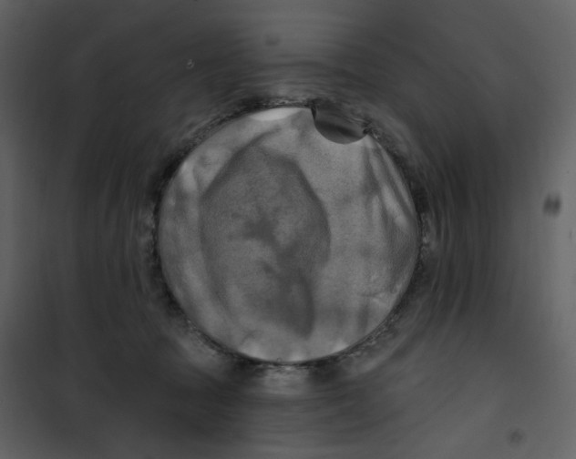 X0000100780369200807171448