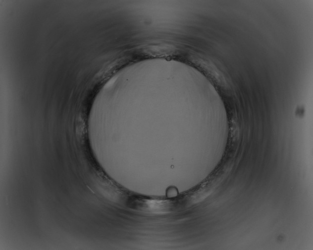 X0000100780371200807171448