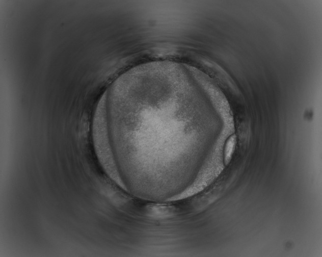 X0000100780372200807171449
