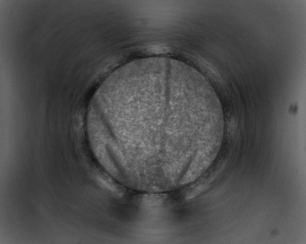 X0000100780373200807171449