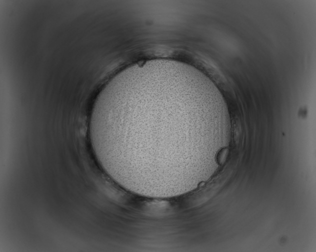 X0000100780374200807171449