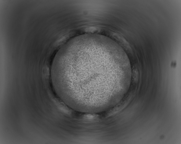 X0000100780375200807171449