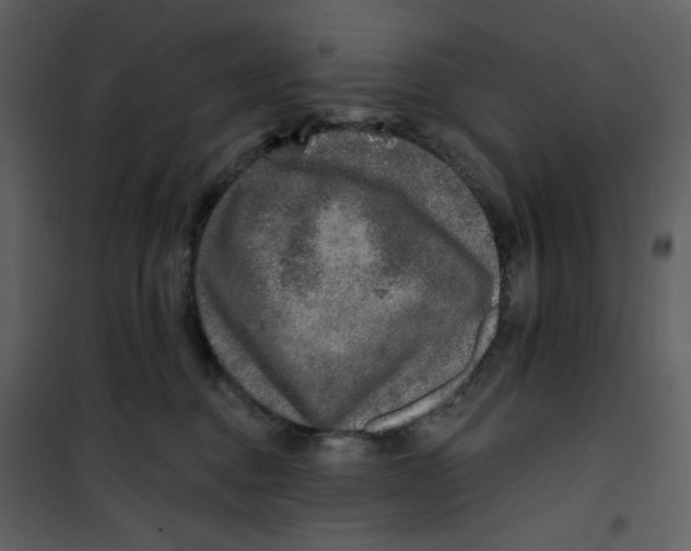 X0000100780376200807171449