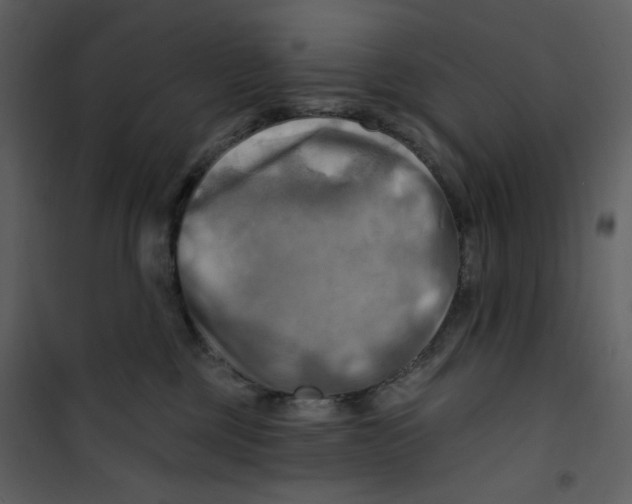 X0000100780377200807171449