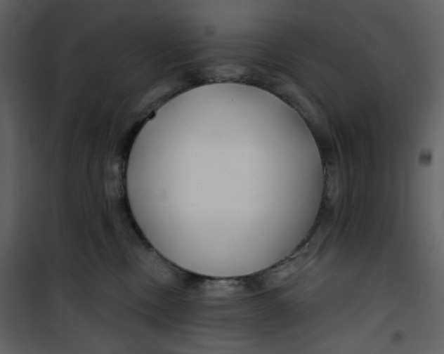 X0000100780378200807171449