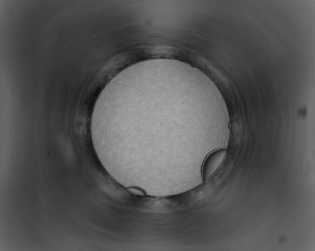 X0000100780379200807171449